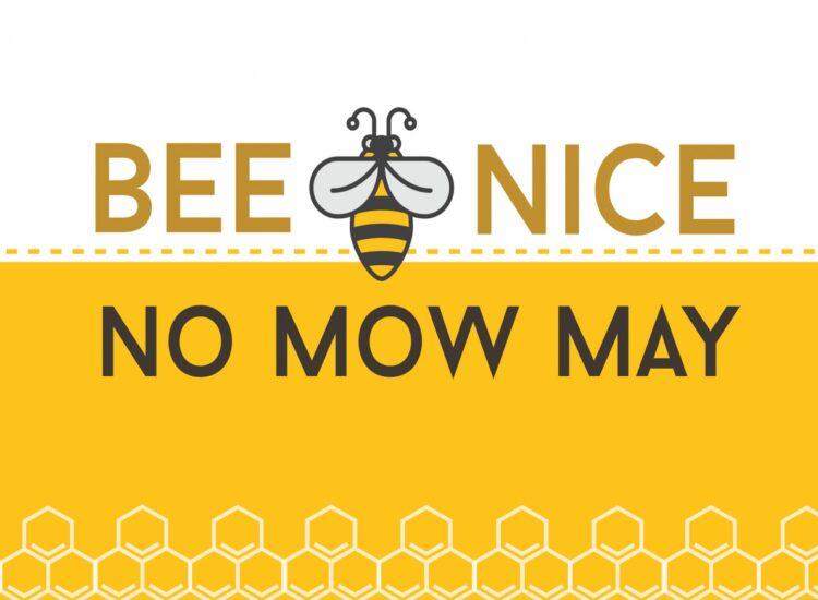 Bee Nice Cafe Press