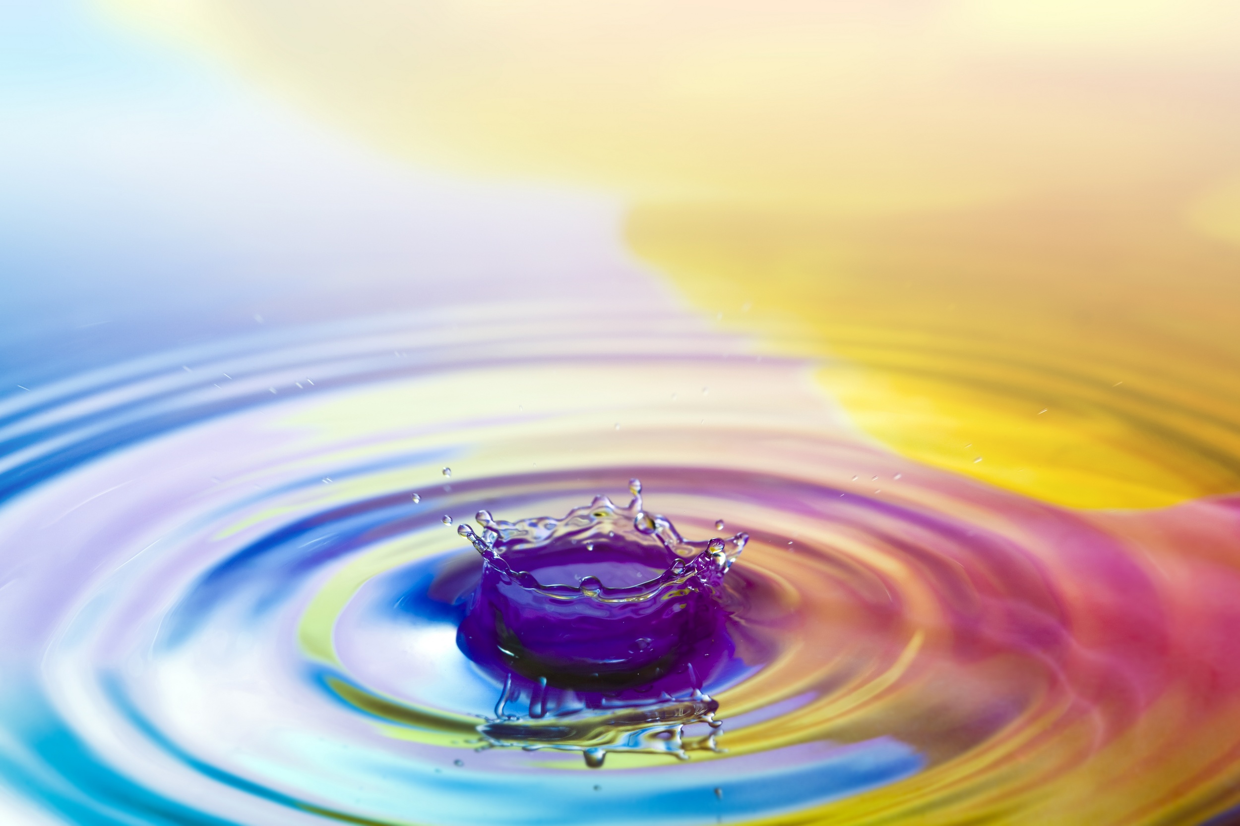 iStock-157482223_2500x1667.jpg