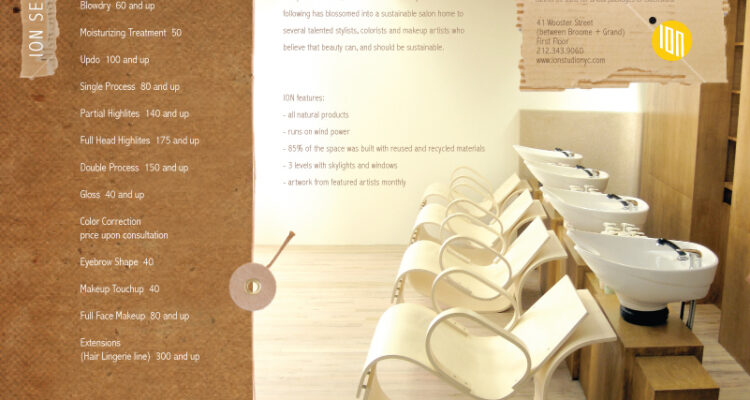 ion Brochure Inside